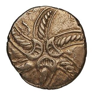 Addedomarus