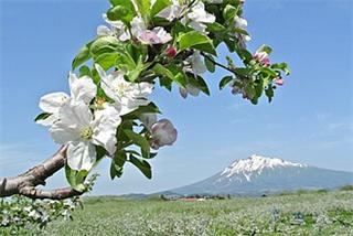 Aomori Prefecture