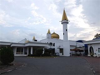 Arau
