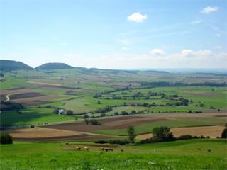 Baar (region)
