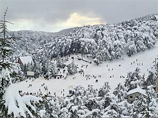 Blida