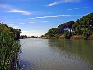Cecina (river)