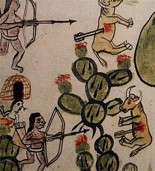 Chichimeca War