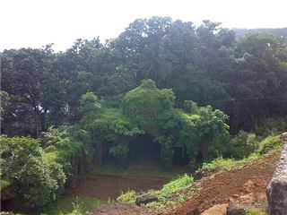 Dabhol