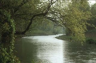 Esino