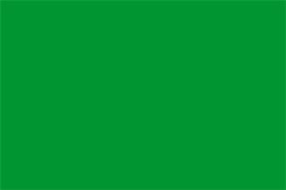 Iranian Green Movement