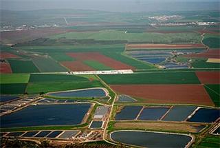 Jezreel Valley