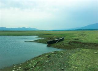 Kathua