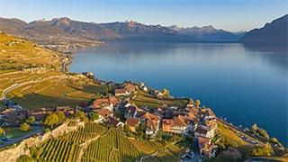 Lavaux