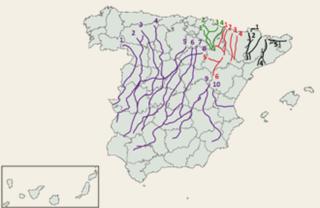 Mesta