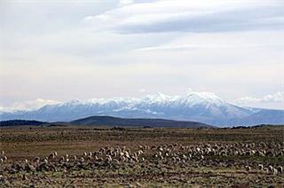Middle Atlas