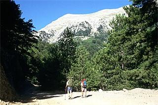 Mount Taygetus