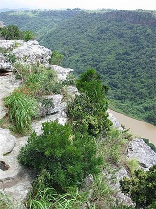 Mtamvuna River