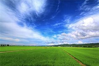 Niigata Prefecture