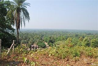 Palghar district