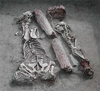 Pazyryk burials