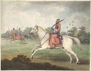 Rohilla War