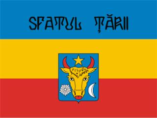 Sfatul Țării