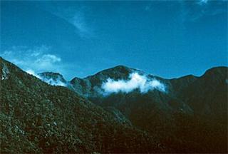 Sierra Maestra