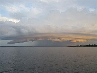 Solimões