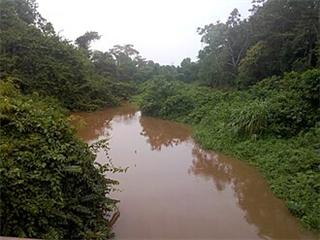 Tano River