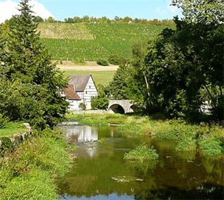 Tauber