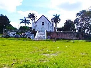 Tepich