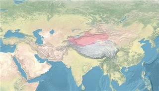 Yarkent Khanate