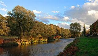 Zwickauer Mulde