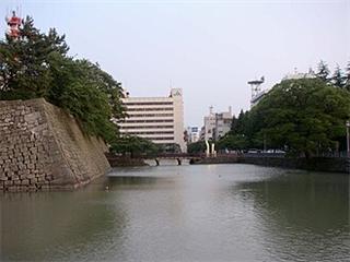 Fukui Domain