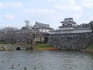 Fukuoka Domain