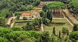Populonia