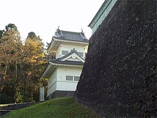 Sendai Domain