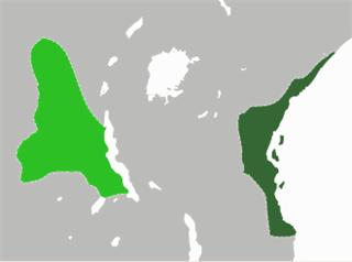 Tippu Tip's State
