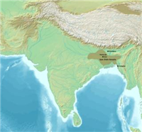 Bengal Sultanate