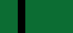 Delhi Sultanate
